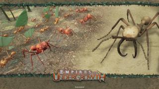 Empires of the Undergrowth - 0028
